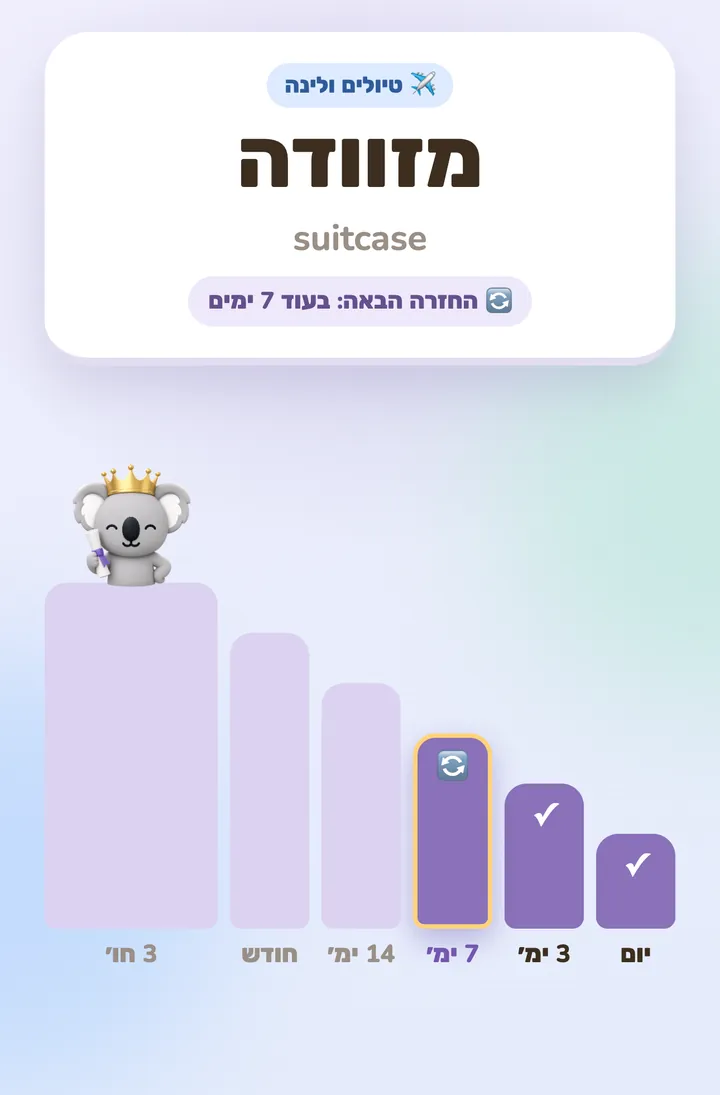 כרטיס מילה והחזרות הבאות שלו, במרווחים מיום אחד עד 3 חודשים