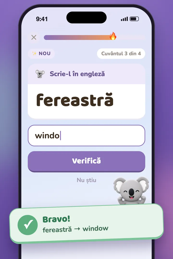 O întrebare cu răspuns scris și koala care sărbătorește răspunsul corect